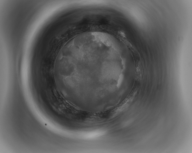 X0000111240765200907021411