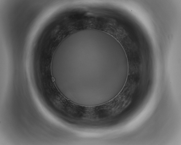 X0000111240766200907021411