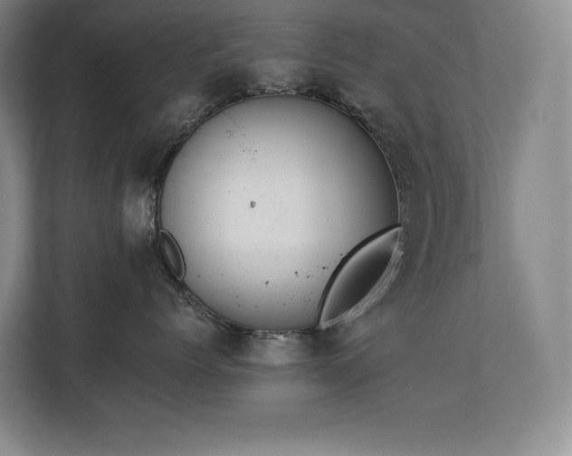 X0000111240768200907021411