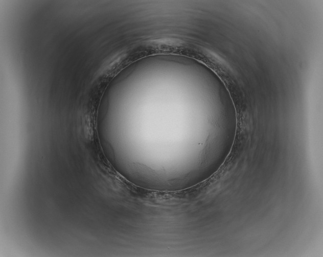 X0000111240774200907021410