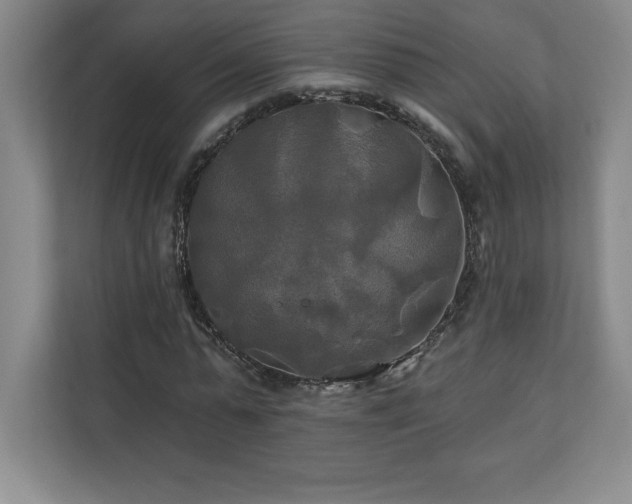 X0000111240775200907021410