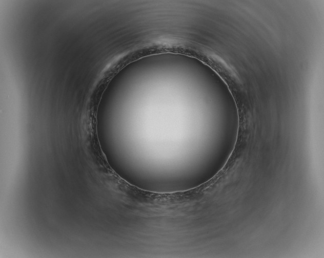 X0000111240776200907021410
