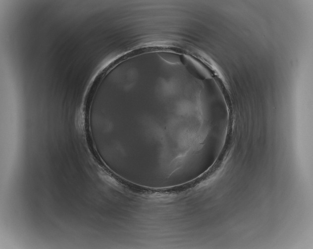 X0000111240779200907021410