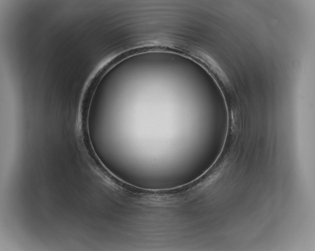 X0000111240780200907021410