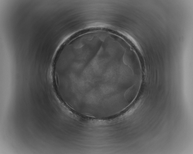 X0000111240783200907021410