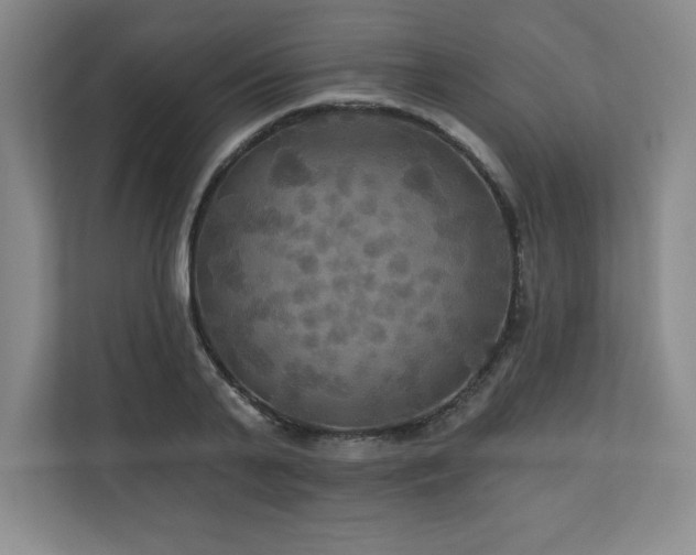 X0000111240791200907021410