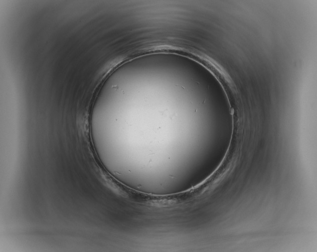 X0000111240793200907021410