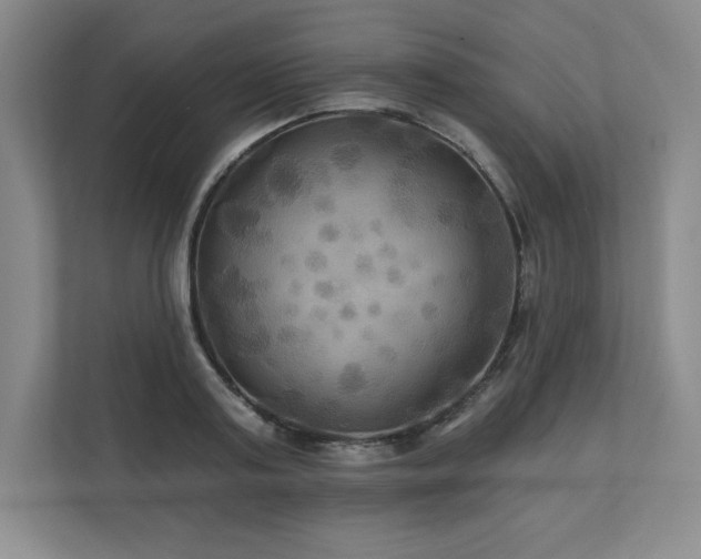 X0000111240795200907021410