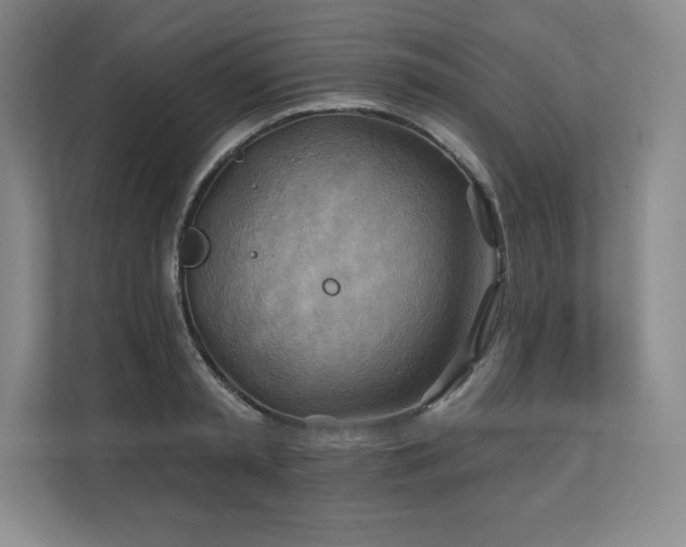 X0000111240797200907021410