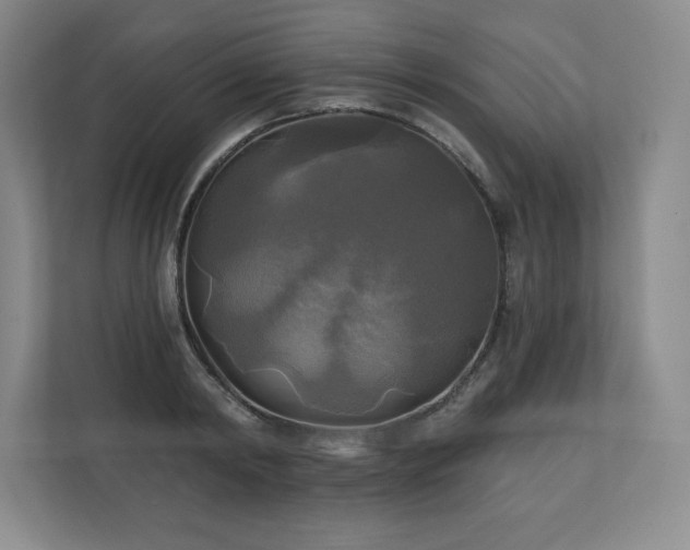 X0000111240798200907021410
