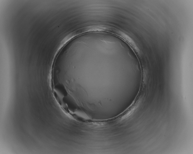 X0000111240802200907021410
