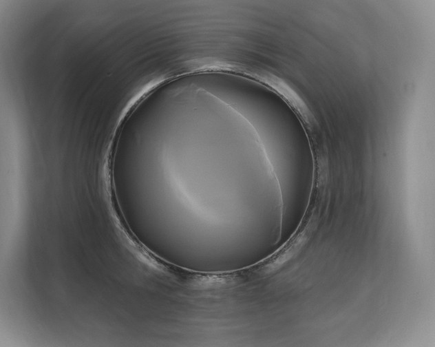 X0000111240806200907021410