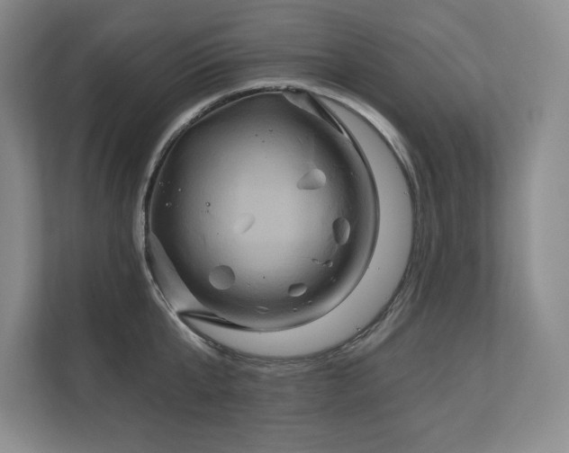 X0000111240807200907021410