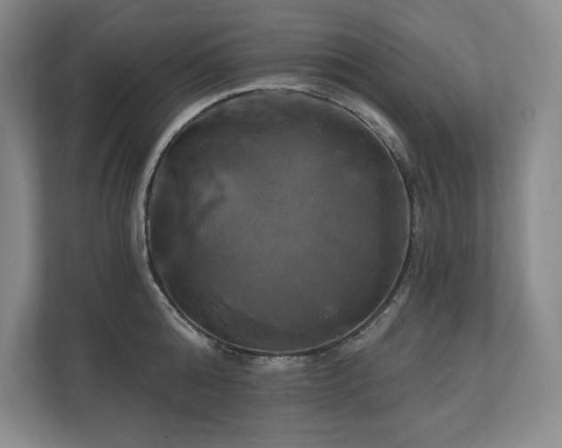 X0000111240808200907021410