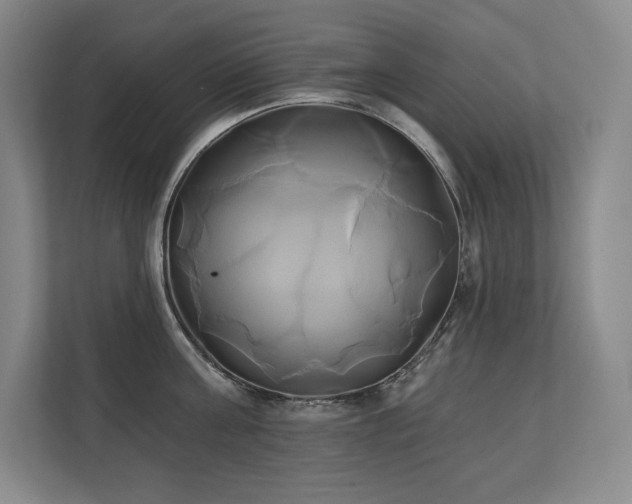 X0000111240811200907021410