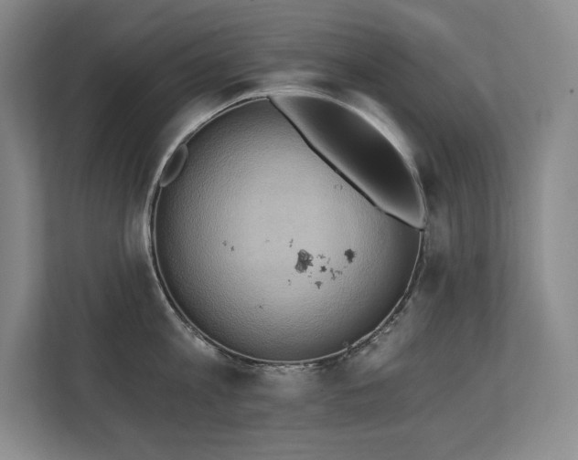 X0000111240813200907021410