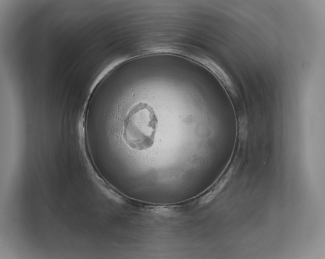 X0000111240814200907021410