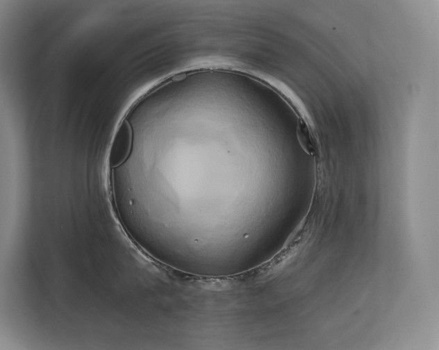 X0000111240815200907021410