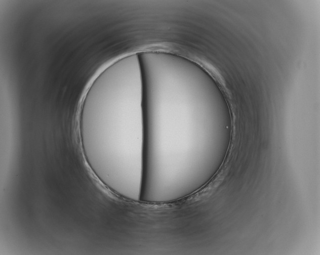 X0000111240816200907021410