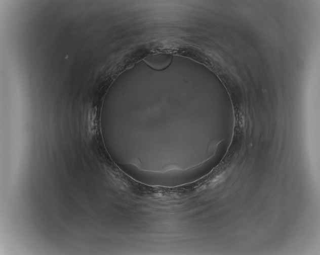 X0000111240818200907021409