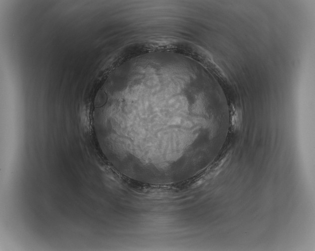 X0000111240819200907021409