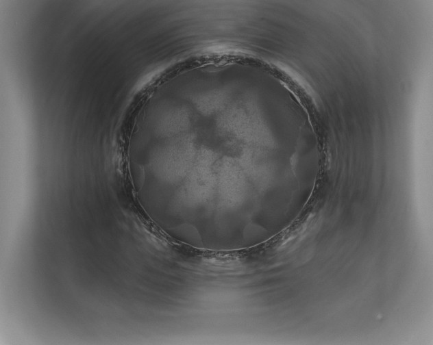 X0000111240823200907021409