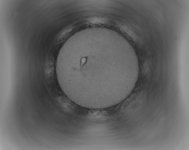 X0000111240824200907021409