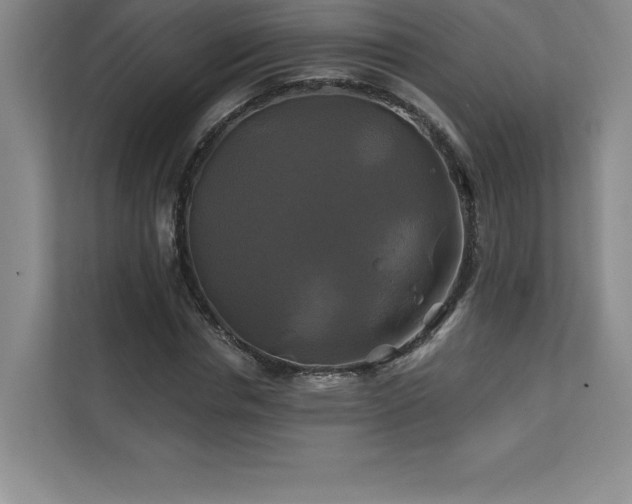 X0000111240826200907021409
