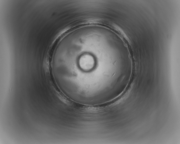 X0000111240827200907021409