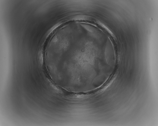 X0000111240829200907021409