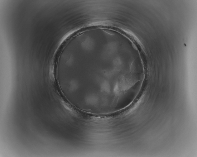 X0000111240830200907021409