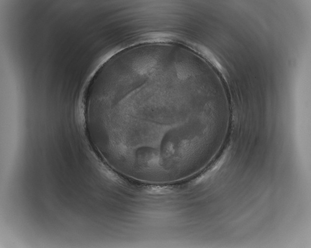 X0000111240835200907021409