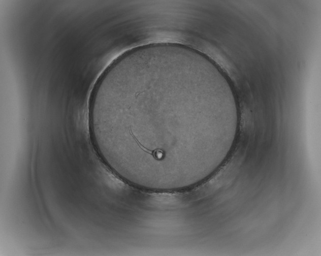 X0000111240836200907021409