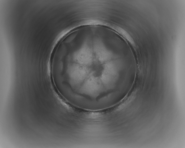 X0000111240839200907021409