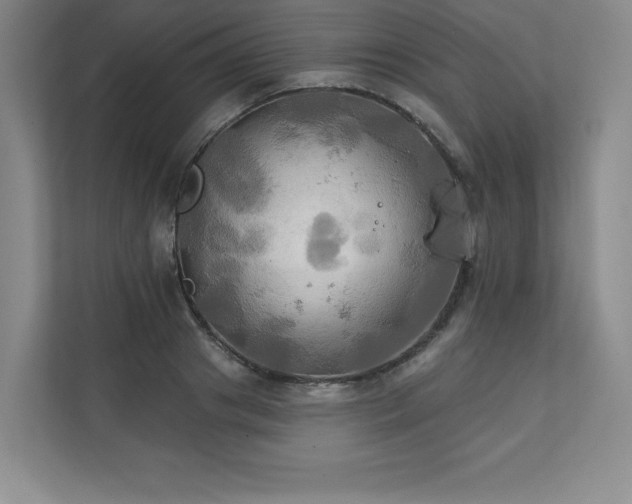 X0000111240841200907021409