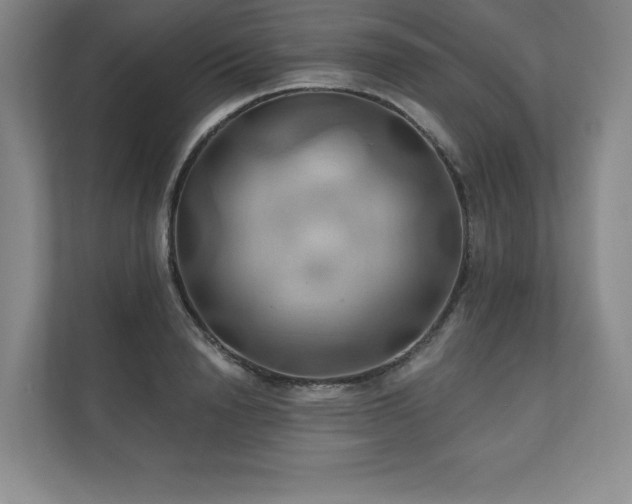 X0000111240846200907021409