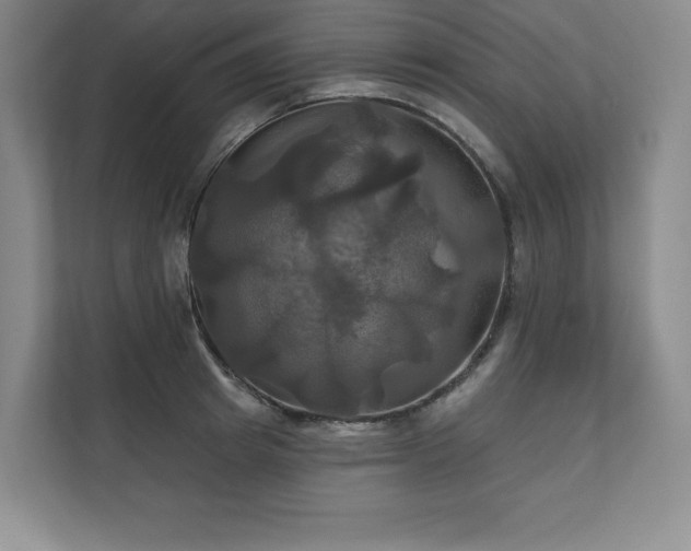 X0000111240849200907021409