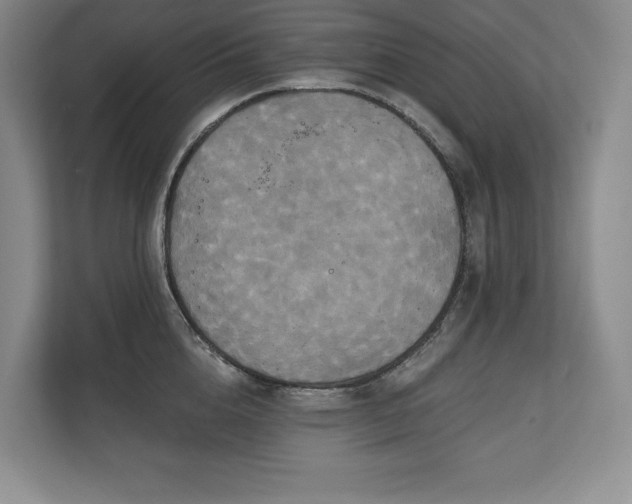 X0000111240856200907021410