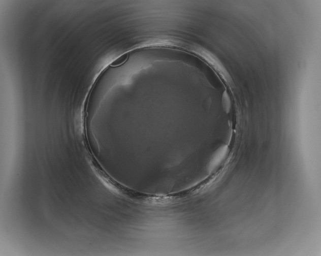 X0000111240858200907021410