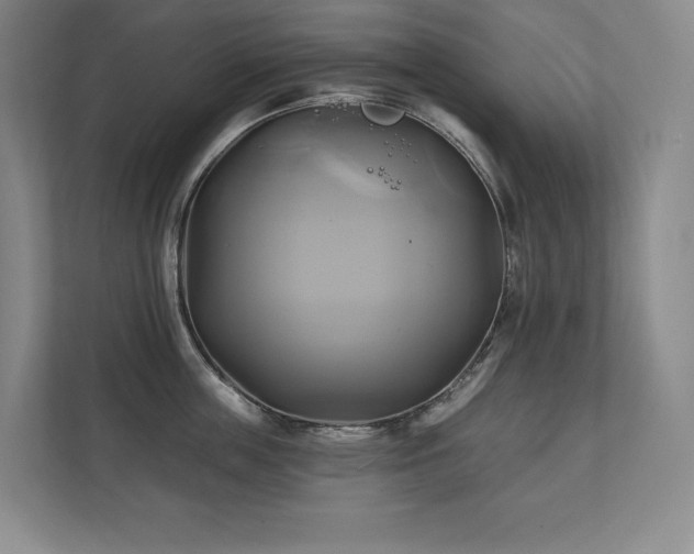 X0000111240859200907021410