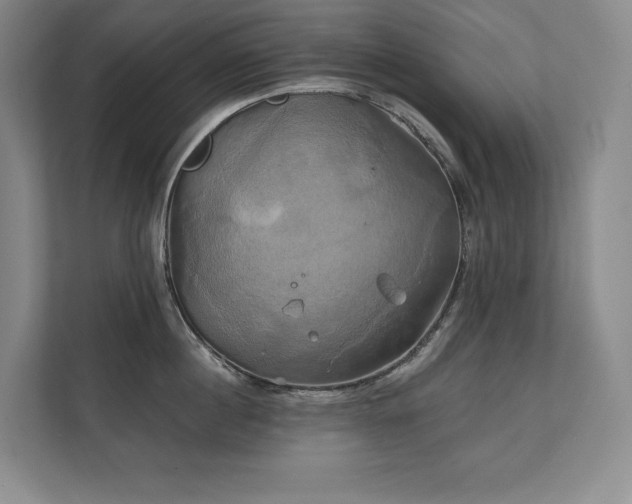 X0000111240860200907021410