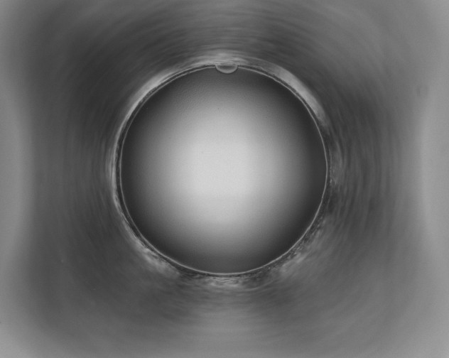 X0000111240861200907021410