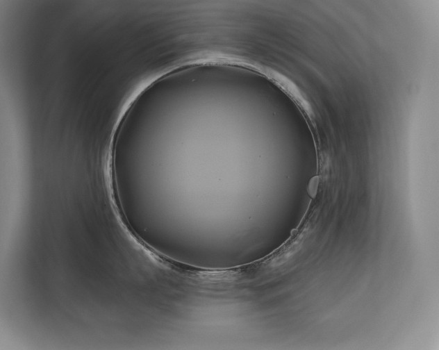 X0000111240863200907021410