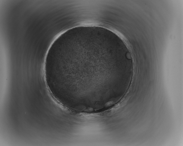 X0000111240864200907021410