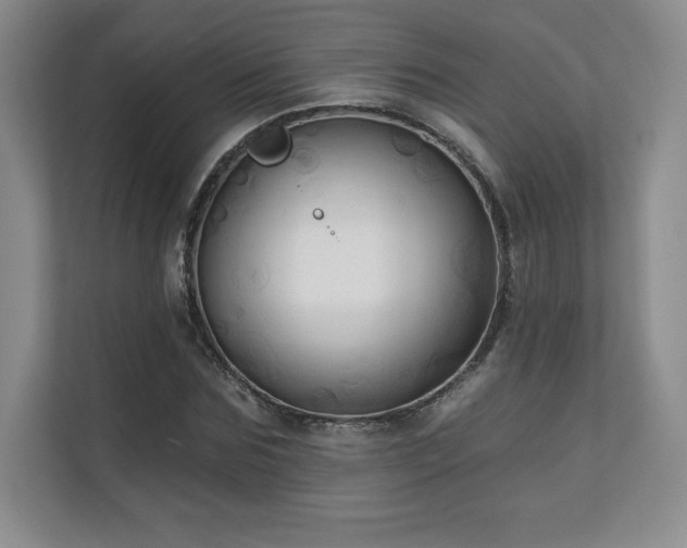 X0000111240875200907021409