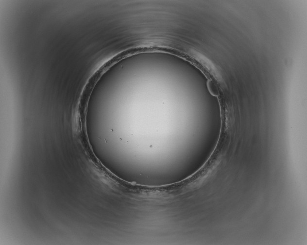 X0000111240876200907021409