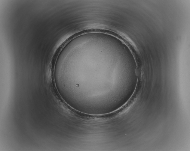 X0000111240877200907021409