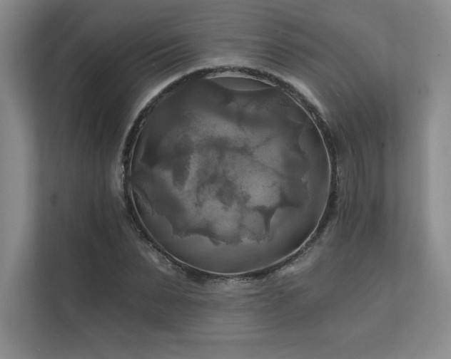 X0000111240879200907021409