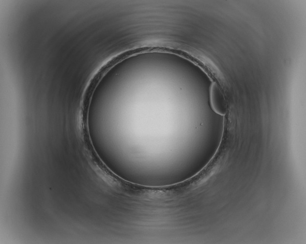 X0000111240880200907021409
