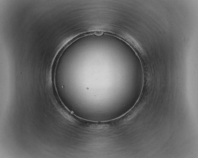X0000111240884200907021409